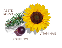 Complesso antiossidante brevettato
