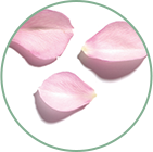 IDROLATO DI ROSA BIO