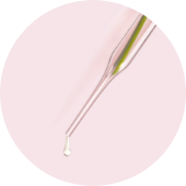 Booster di Collagene Vegano